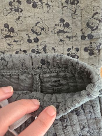Ensemble mickey