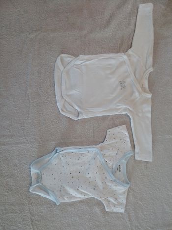 Lot de 2 bodies (réf interne C29-C28)(familleac72)