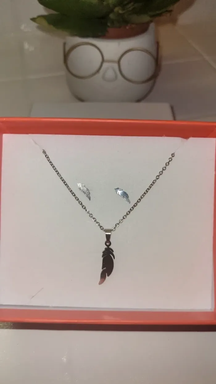 Ensemble en acier inoxydable plume