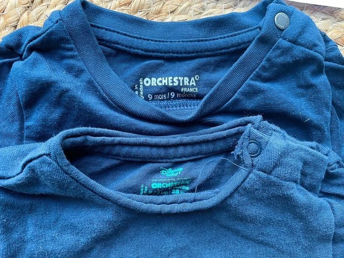Lot 2 tee-shirts 9 mois - photo numéro 2