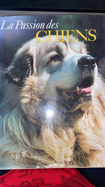 La passion des chiens