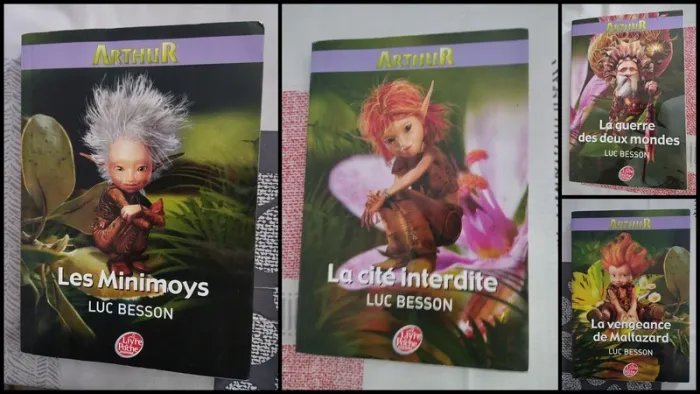 Lot 4 Livres Arthur Luc Besson Livre de poche