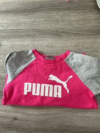 Pull puma