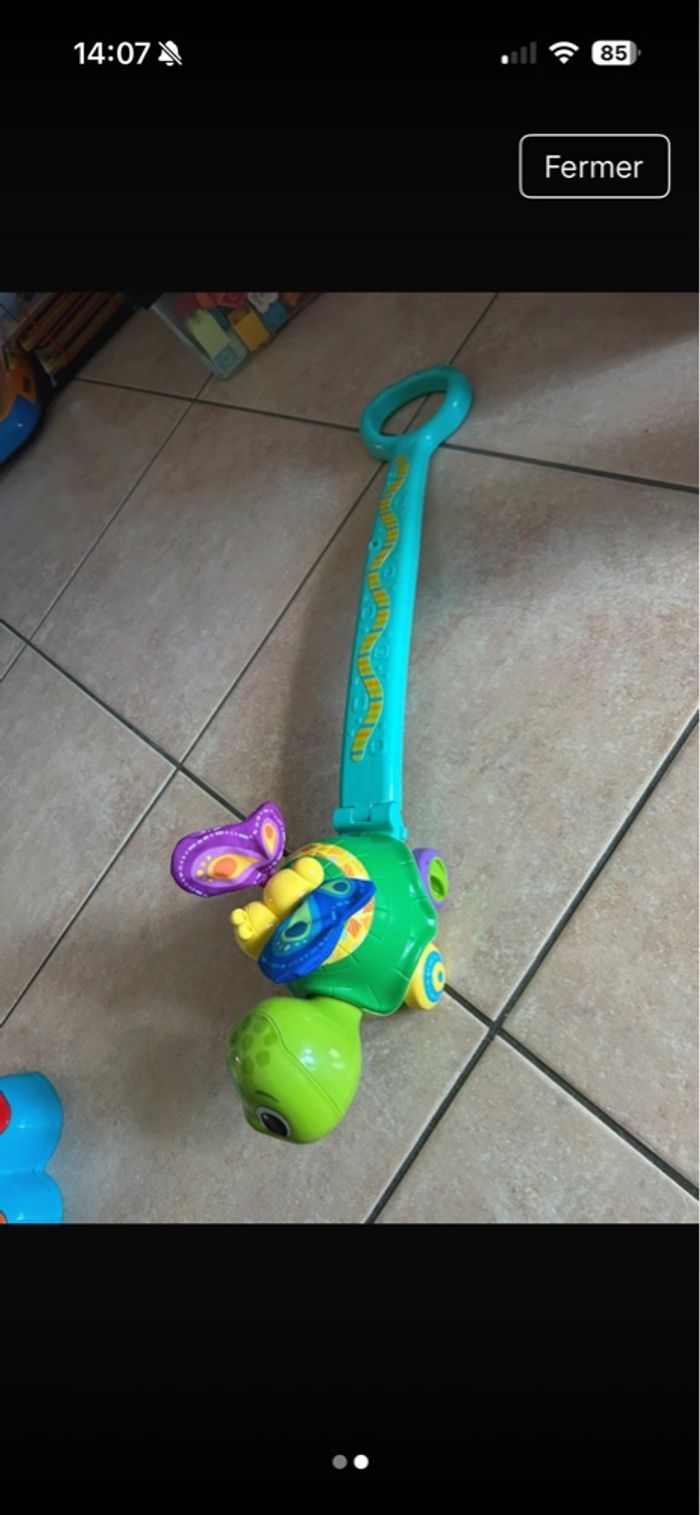 Pousse pousse tortue - photo numéro 2