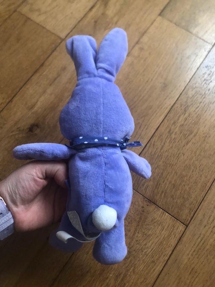 Lapin Milka - photo numéro 2