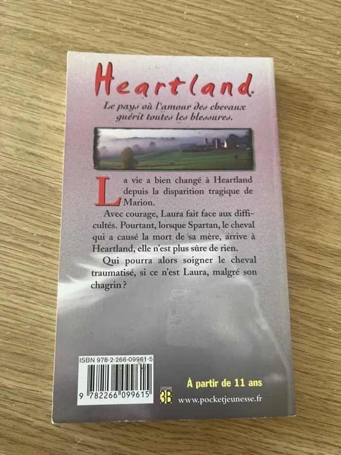 Après l’orage - photo numéro 3