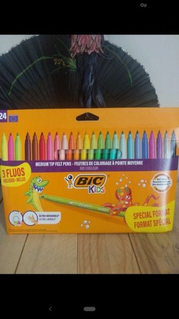 Feutres bic