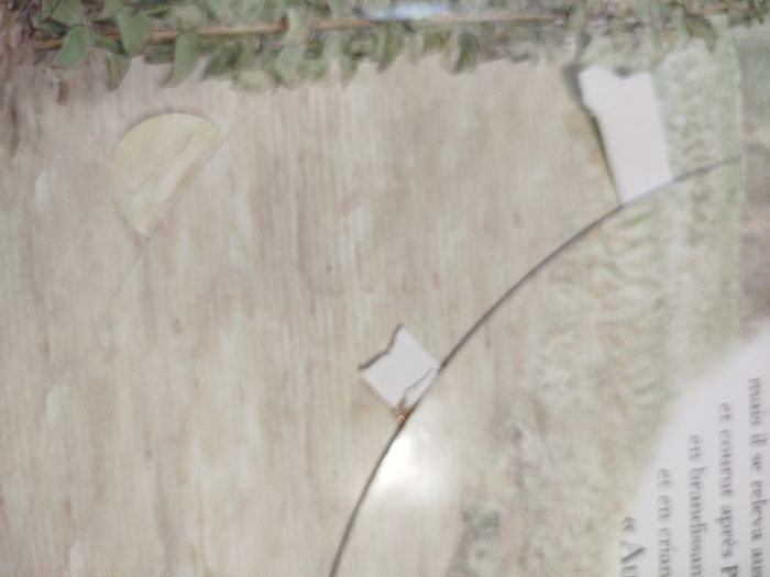 Le grand livre animé de Pierre lapin - Rare - photo numéro 10