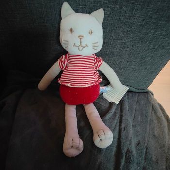 Chat rouge et blanc  sucre d orge