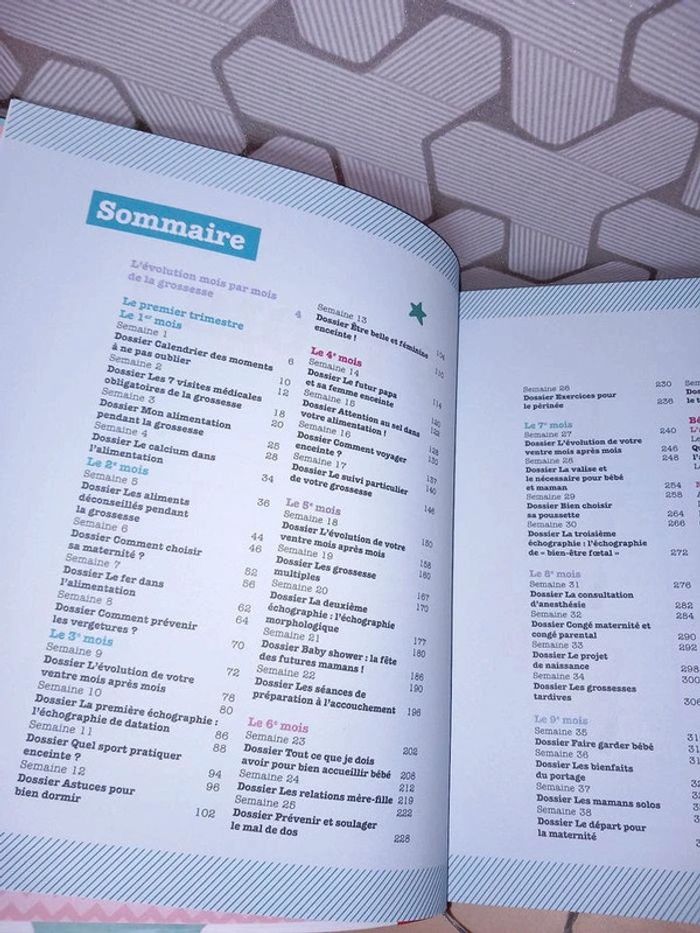 Livre de grossesse 9 mois maternité très bon état - photo numéro 2