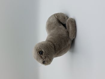 Peluche vintage doudou phoque otarie gris R. DAKIN &CO 1976 SAN FRANCISCO 24 cm