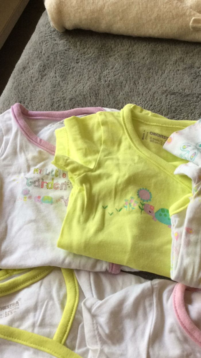 Lot 7 bodies - photo numéro 7