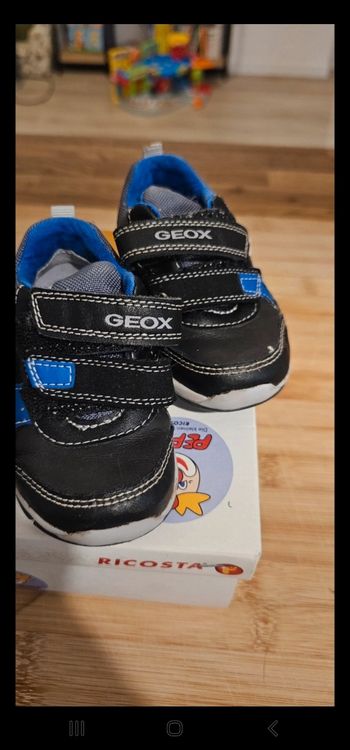 Basket geox