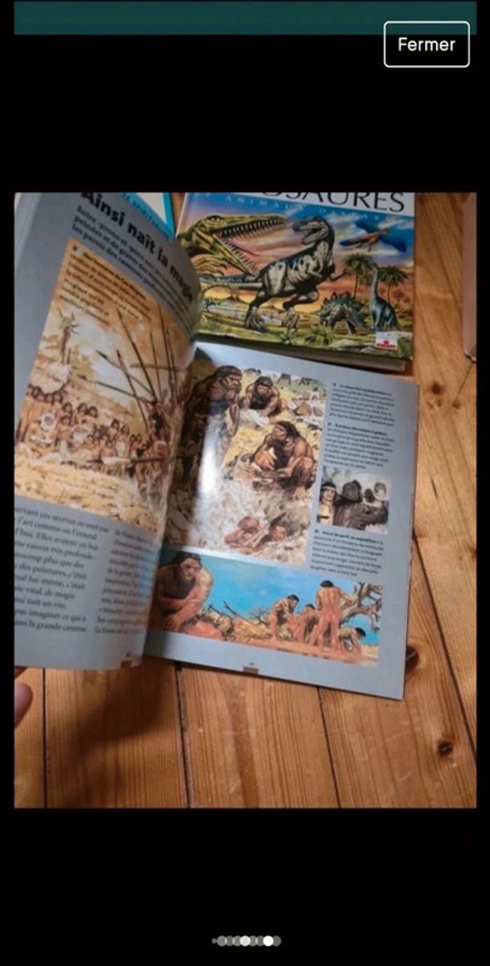 Lot livres découverte préhistoire - photo numéro 3
