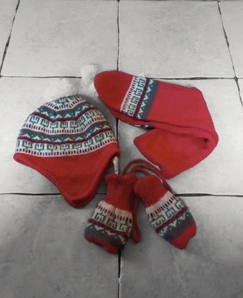 Ensemble hiver bonnet 🐺