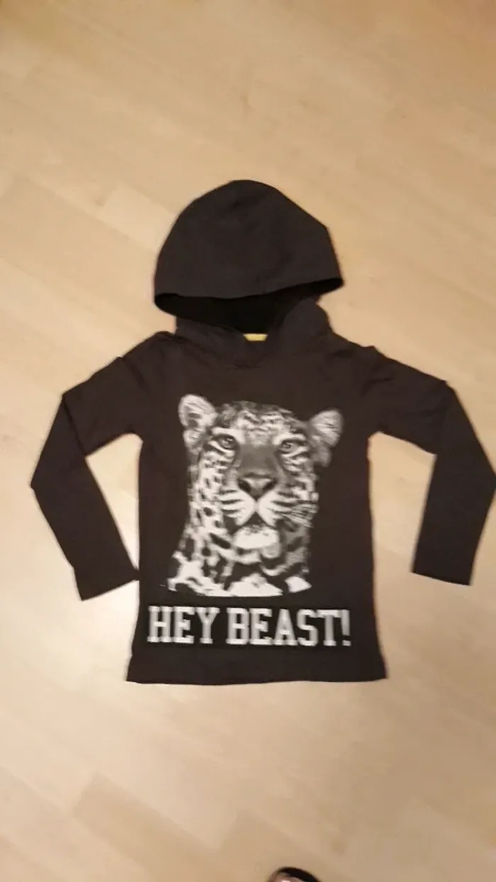 T shirt manche longue  à capuche