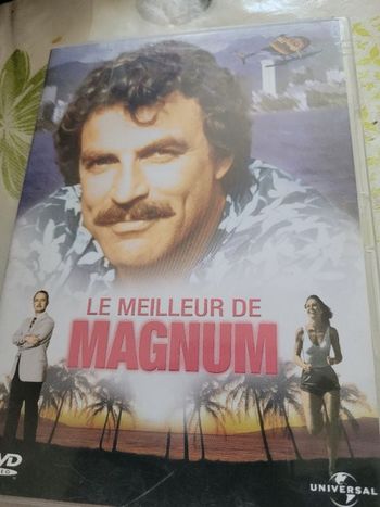 Le meilleur de magnum