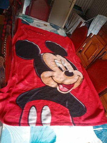 Plaid Mickey Disney Land Paris