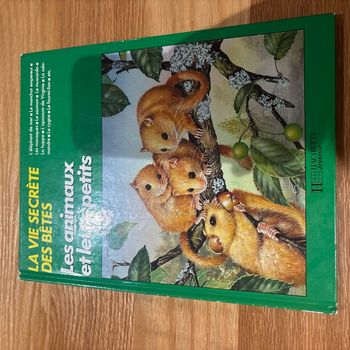 Les animaux et leurs petits