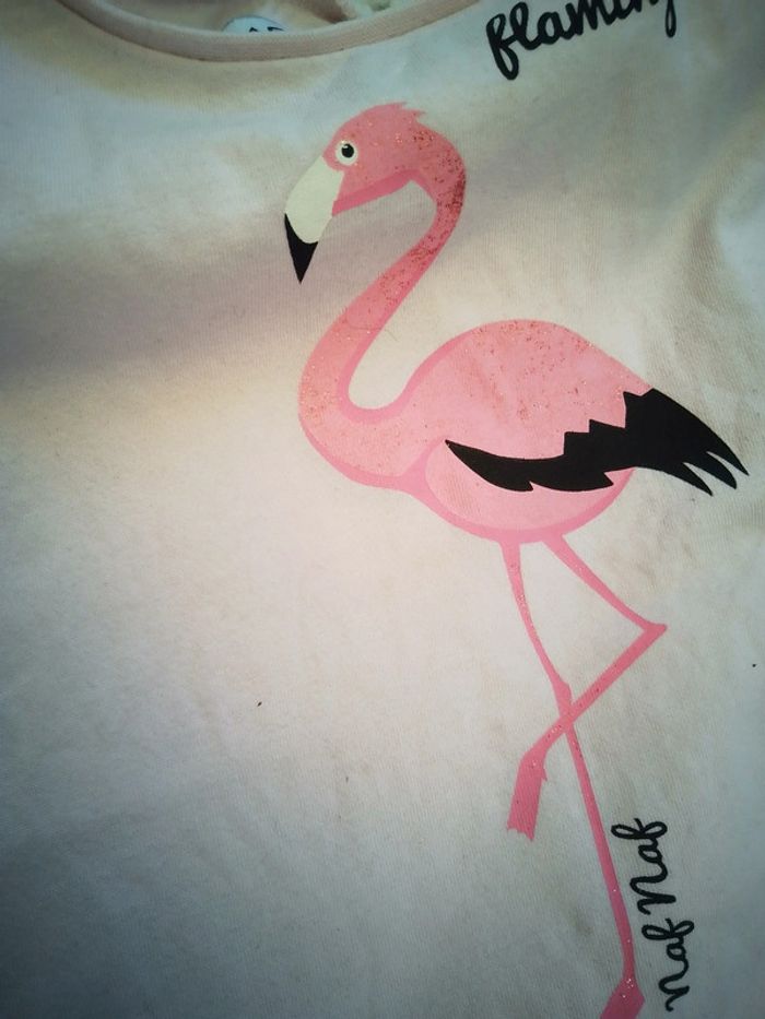 Tee shirt 14 ans fille Naf Naf - photo numéro 10