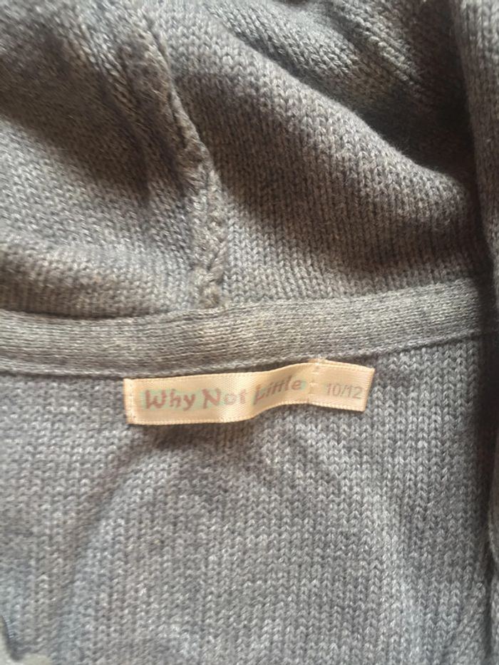 veste en mailles fines 12 ans - photo numéro 5