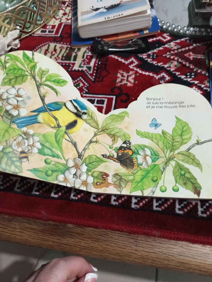 Livre pour enfants La mésange - photo numéro 3