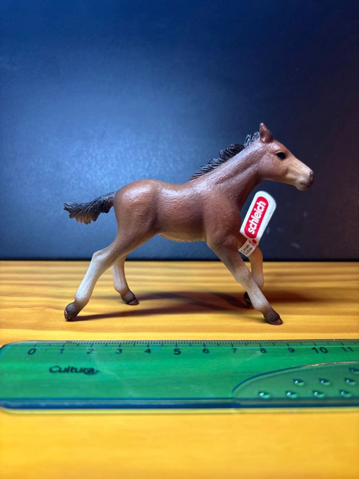 Poulain Mustang - photo numéro 4