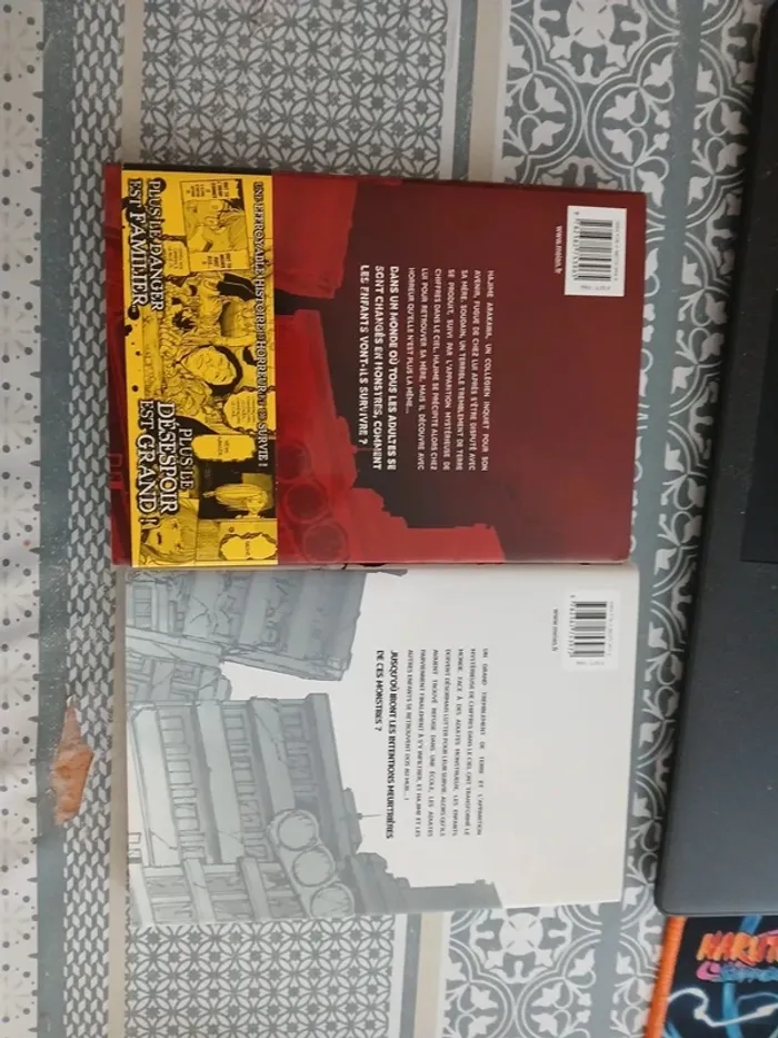 Manga intégral- From the Children’s Country tome 1 et 2 - photo numéro 2