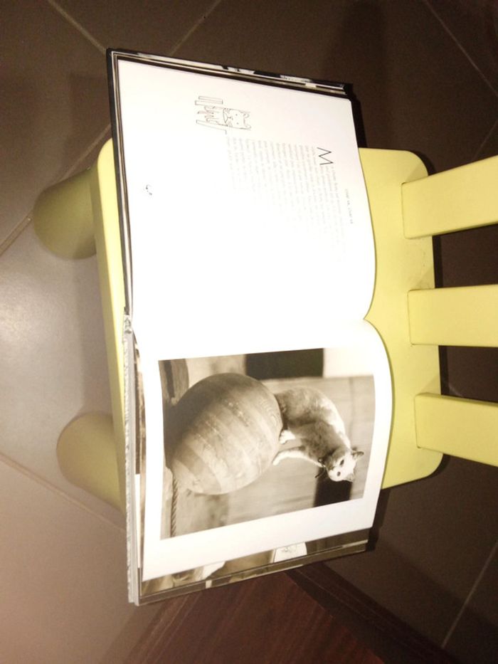 Livre sur les chats - photo numéro 7