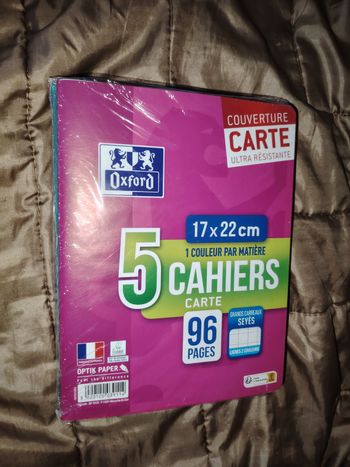Lot 5 petits cahiers oxford 96 pages