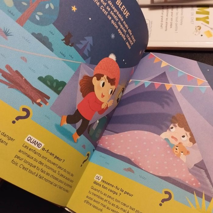 Livre enfant Fleurus mes questions de grand les émotions - photo numéro 5