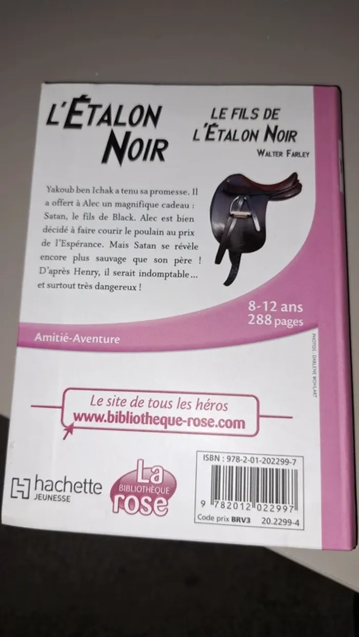 Livre neuf, le fils de l étalon noir - photo numéro 2