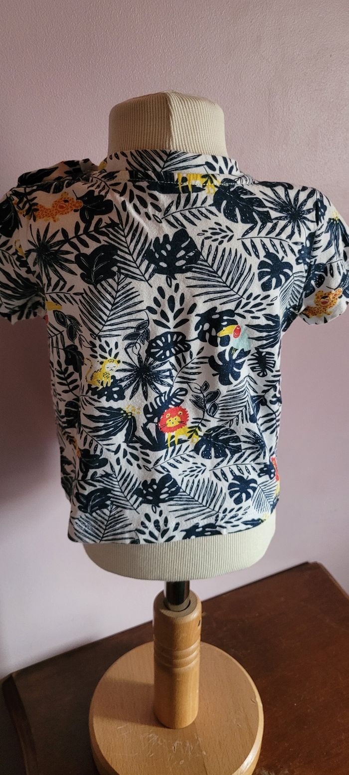 Tee-shirt savane - photo numéro 5