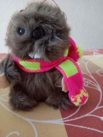 Peluche "marmotte"