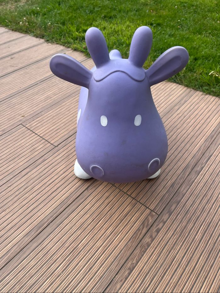 Vache sauteuse - photo numéro 2