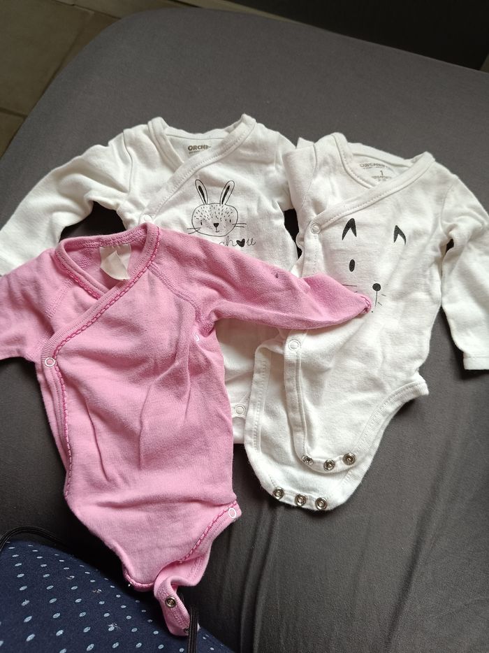 Lot 0-3 - photo numéro 2