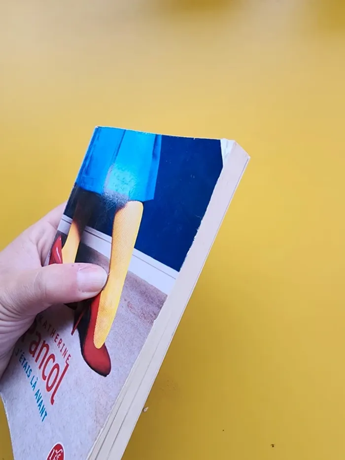 Livre de poche "j'étais là avant" de Katherine Pancol - photo numéro 8