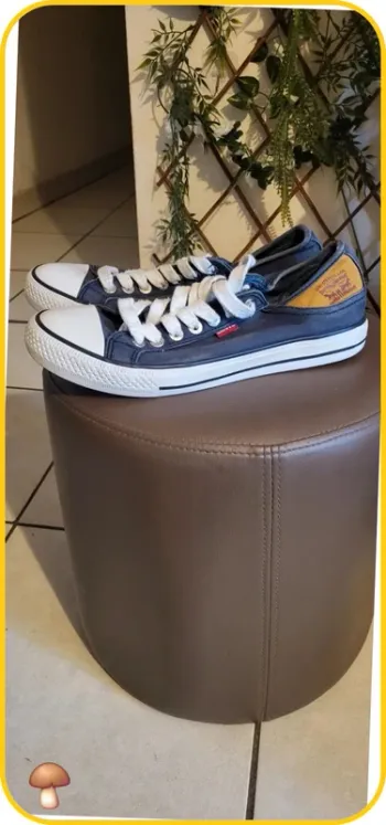 Basket Levi's taille 40