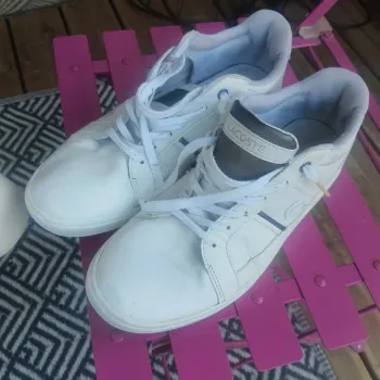 Sneakers lacoste