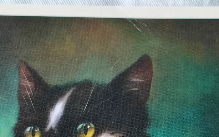 Carte postale - photo numéro 2