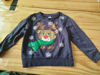 Pull renne