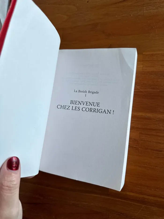 Livre la breizh brigade. Bienvenue chez les corrigans. - photo numéro 4