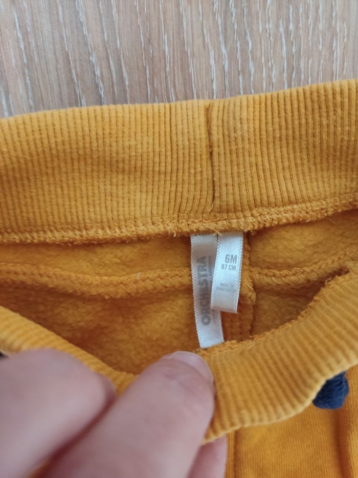 Ensemble Orchestra - photo numéro 4