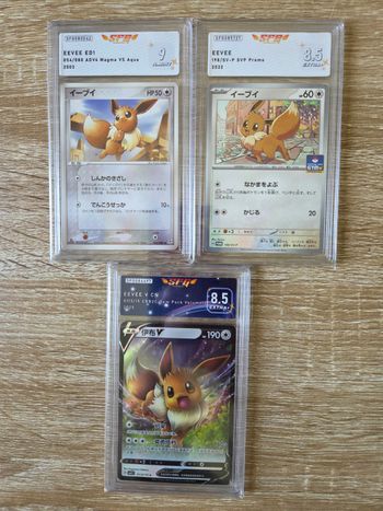 Lot de 3 Cartes Gradées Évoli 