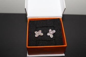 Boucles d'oreilles argent /oxydes de zirconium