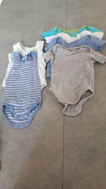 Bodys manches courtes .