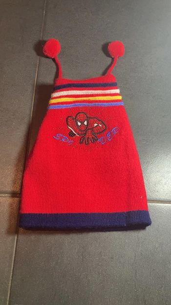 Bonnet Spiderman