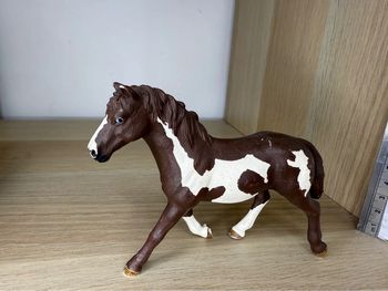 Jument Pinto schleich