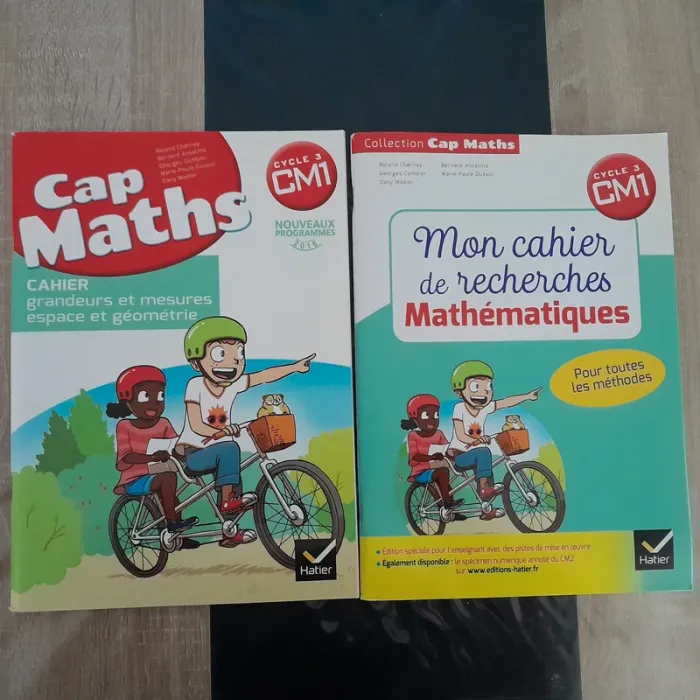 Lot 2 livres cap mats cm1