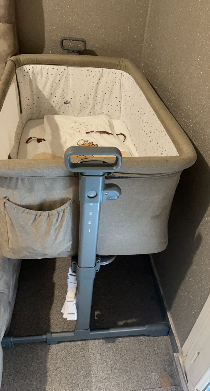 Cododo - photo numéro 2